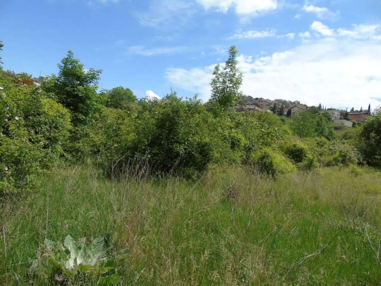 Terreno rustico in vendita a Berga, imagen 6