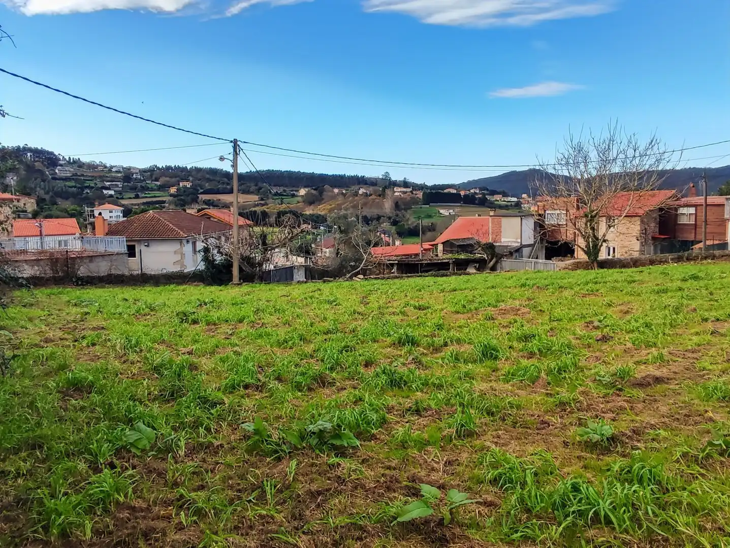 Rural land for sale in armenton, imagen 13