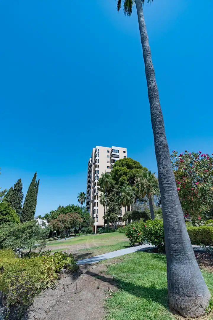 Vista exterior de Apartament en venda en Marbella amb Terrassa