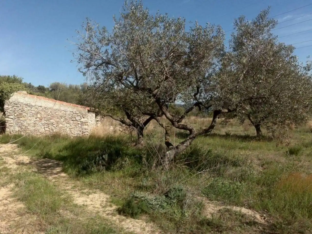Residencial en venda en Vilaplana