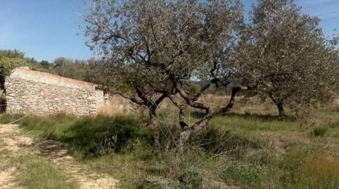 Finca en venta, immagine 5