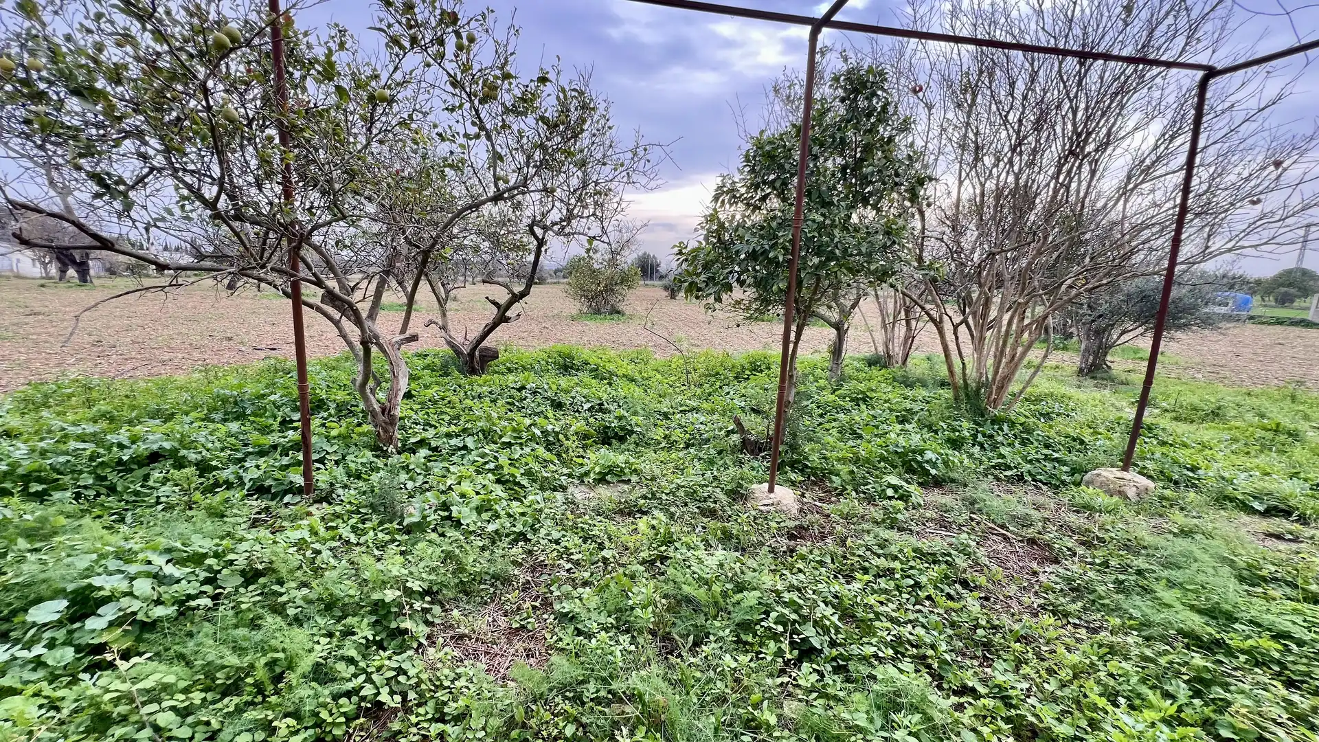 Maison rustique à vendre à Binissalem, imagen 17
