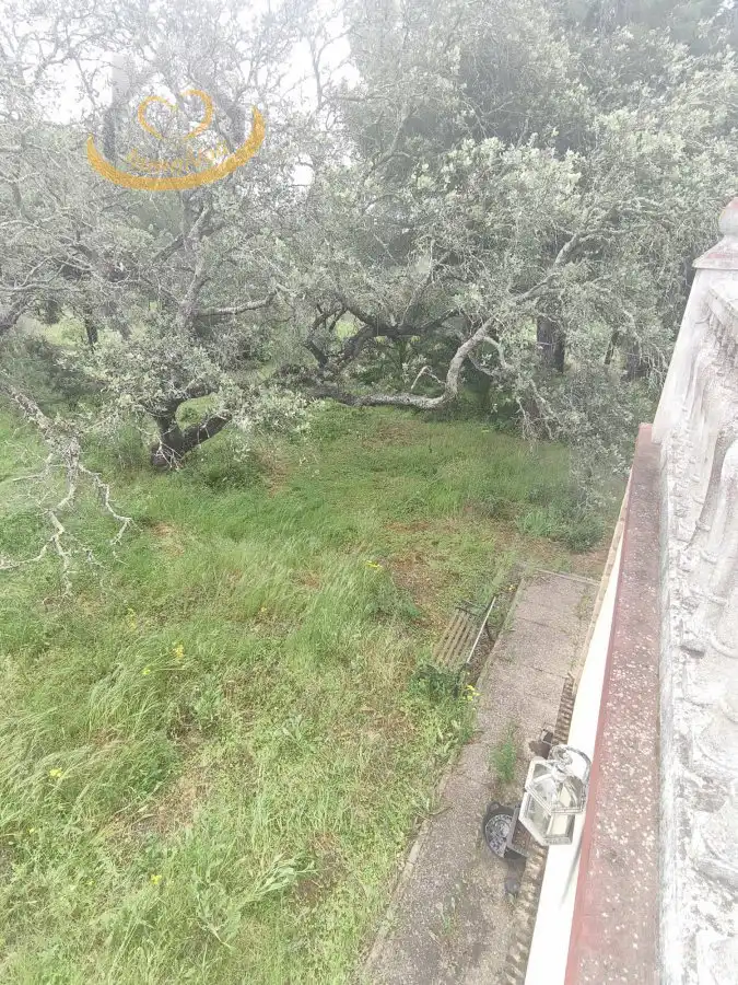 Terreni e lotti in vendita a Villablanca, imagen 15