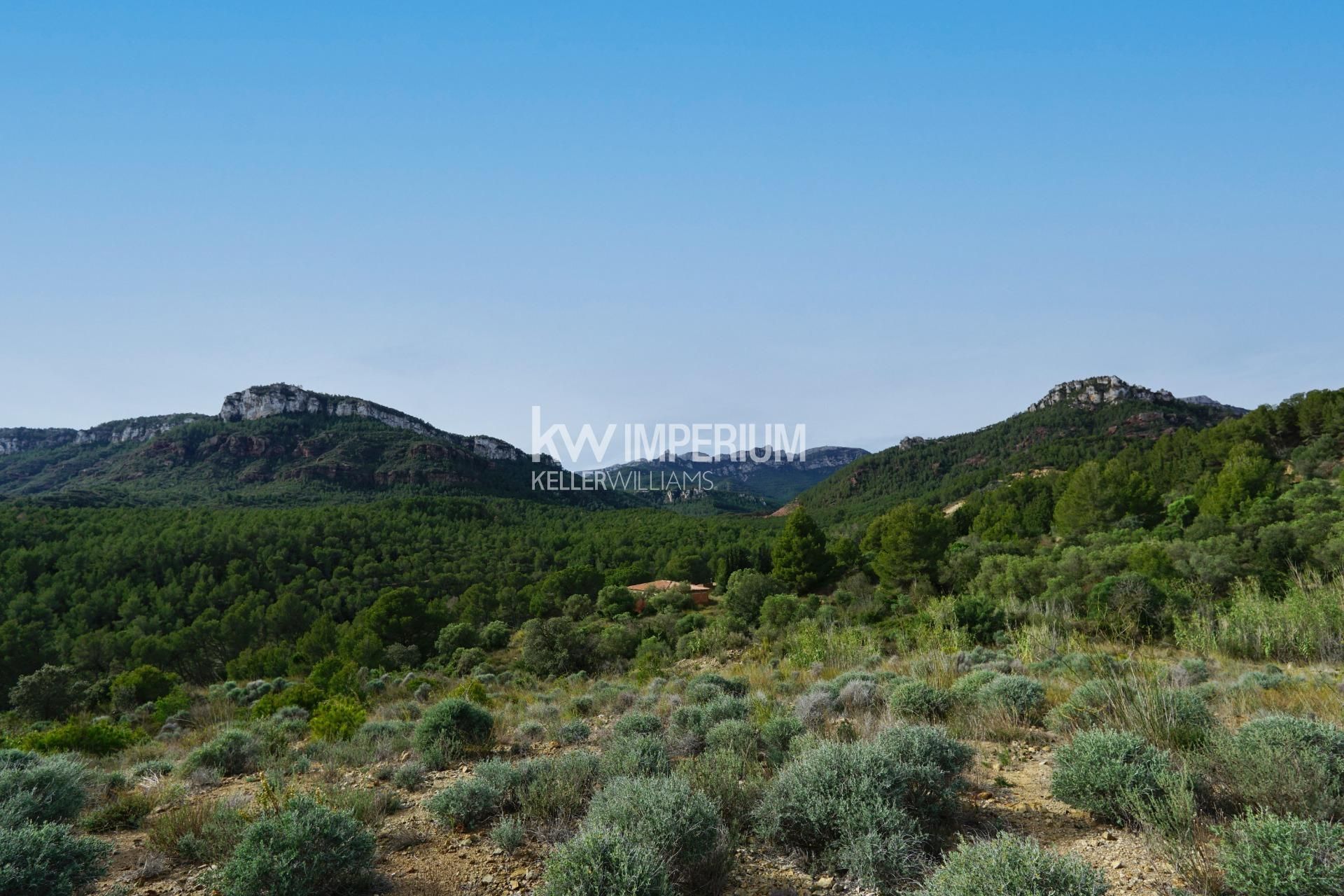 Country house for sale in Vilanova d'Escornalbou  with Private garden