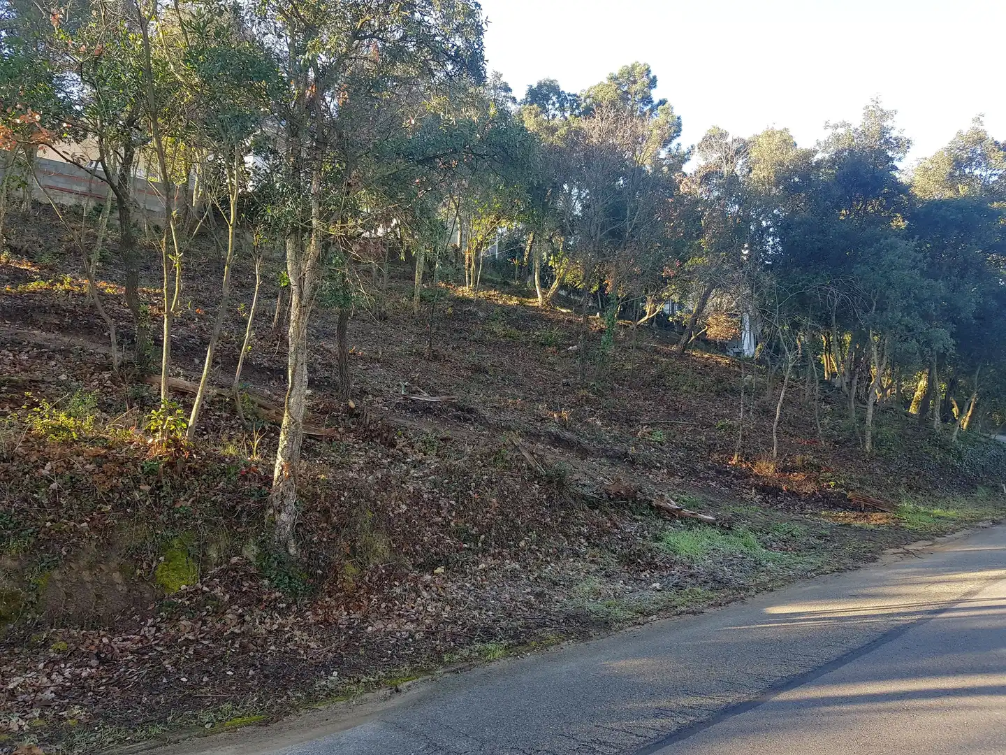 Terreno residencial en venta en Carrer del Pi Ric, imagen 2