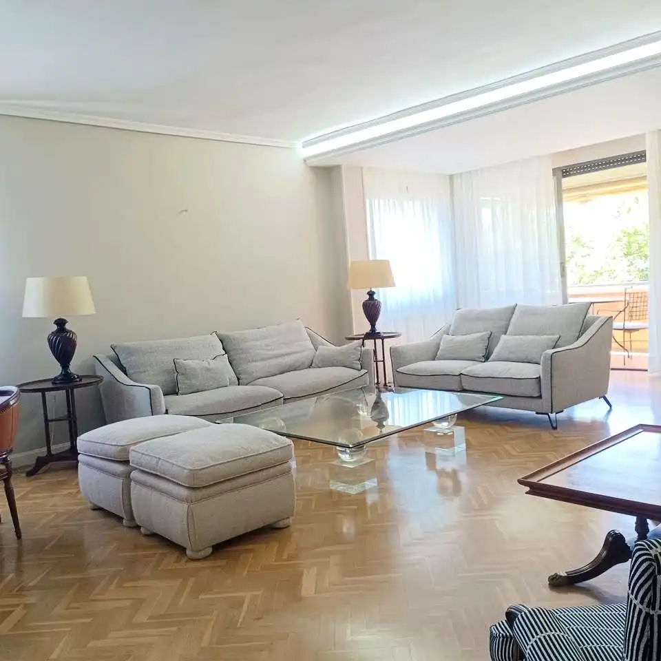 Living room of Flat for rent in Madrid  with Air Conditioner, Heating and Parquet flooring