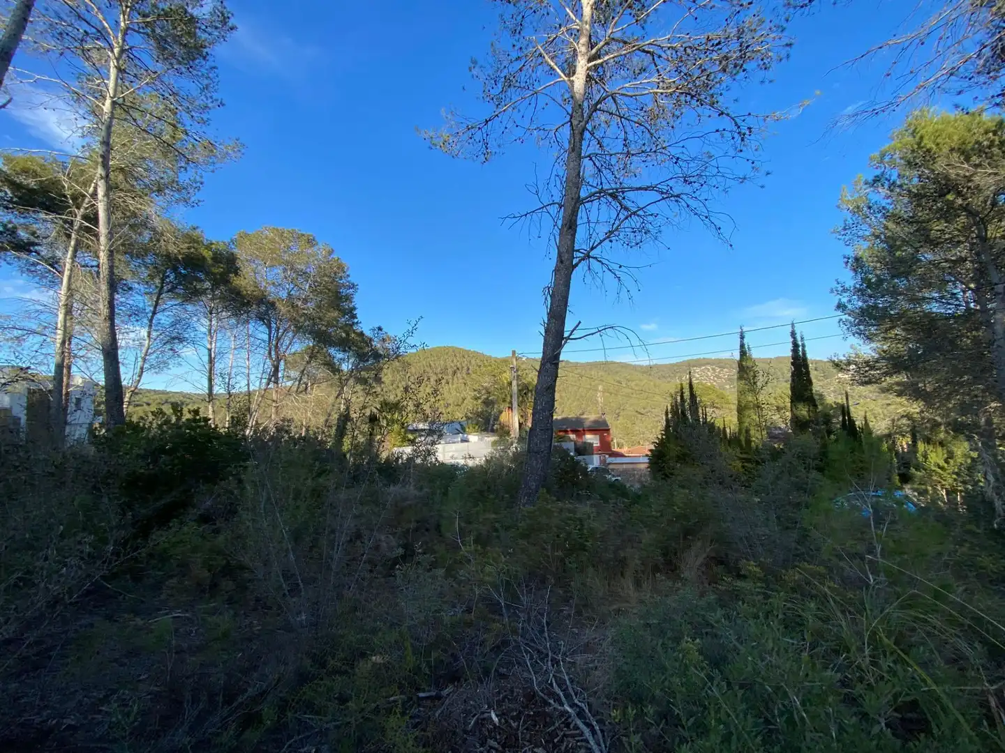 Terreny residencial en venda a Olivella