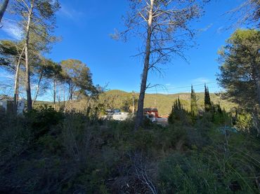 Terreno residenziale in vendita a Olivella