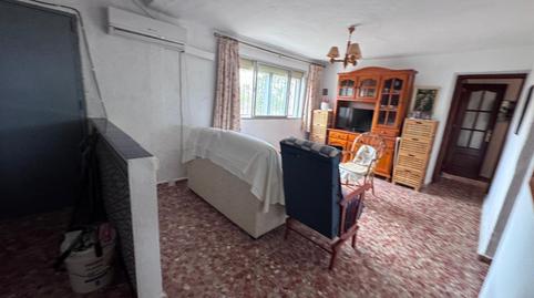 Foto 4 de Finca rústica en venda a Jon el Almendral Pago de Los Ninos., Los Franceses – La Vega, Chiclana de la Frontera