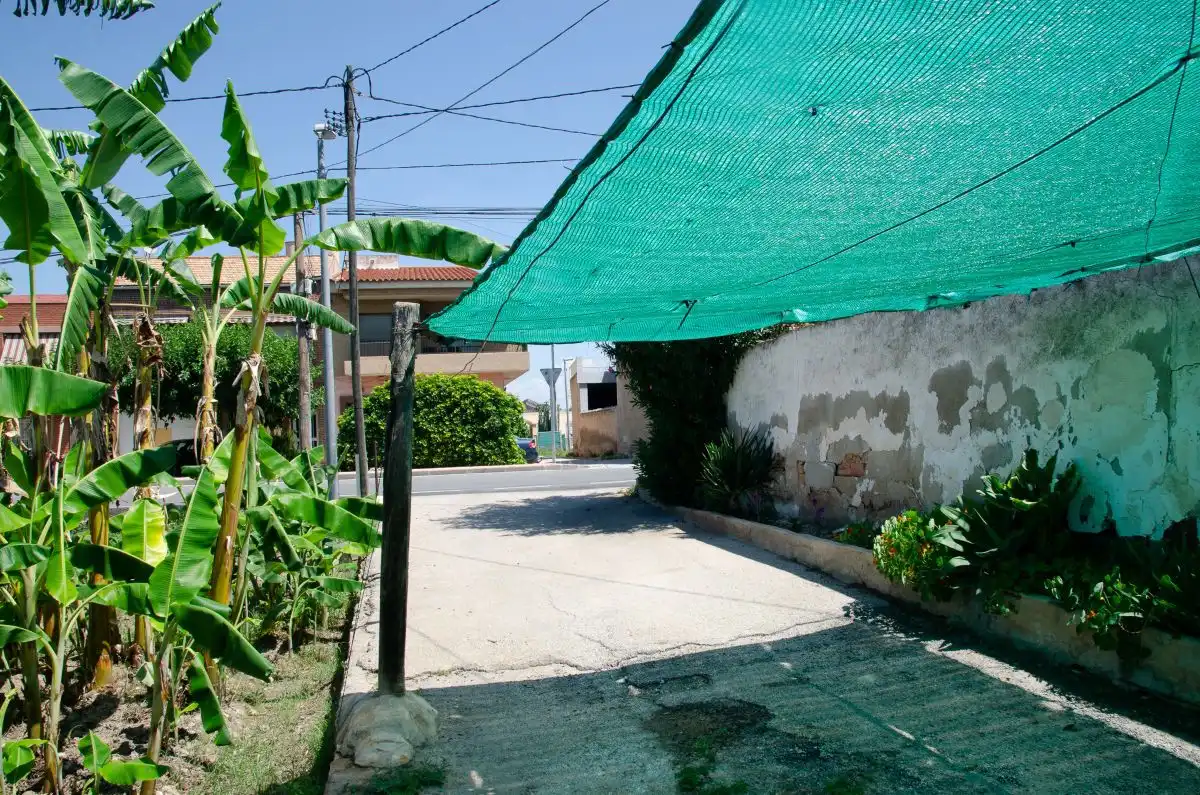 Vista exterior de Residencial en venta en Murcia