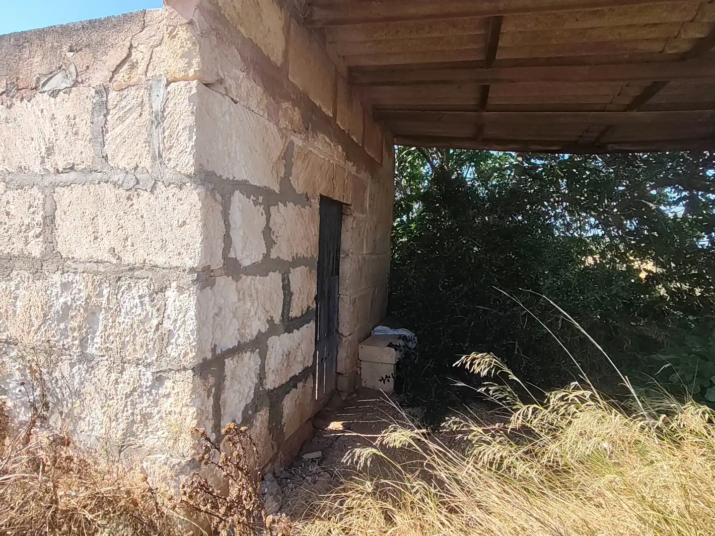 Terreno rustico in vendita a Cami de Son Mieres, imagen 2