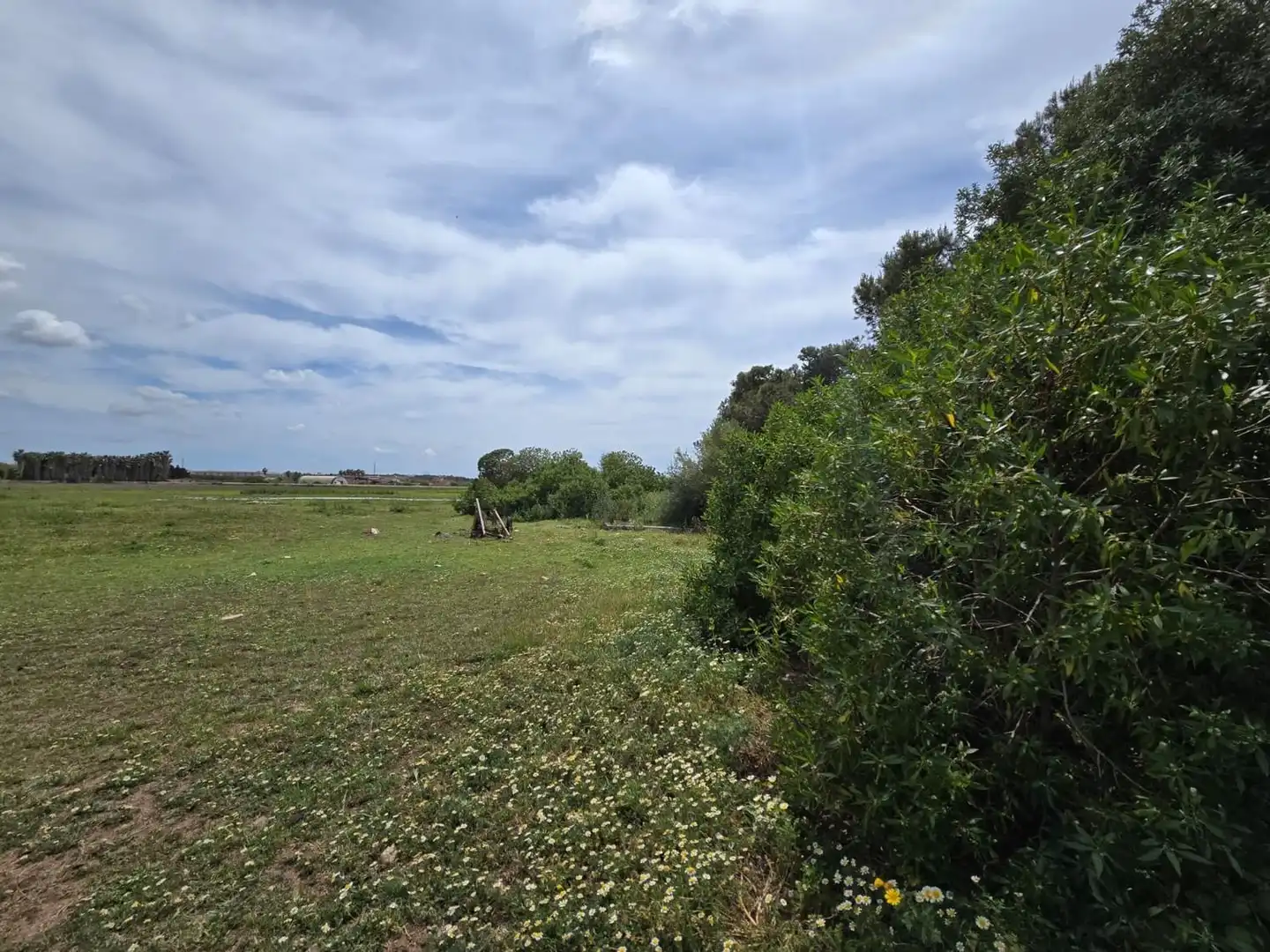 Finca rústica en venta en  Palma de Mallorca con Jardín privado, Terraza y Trastero