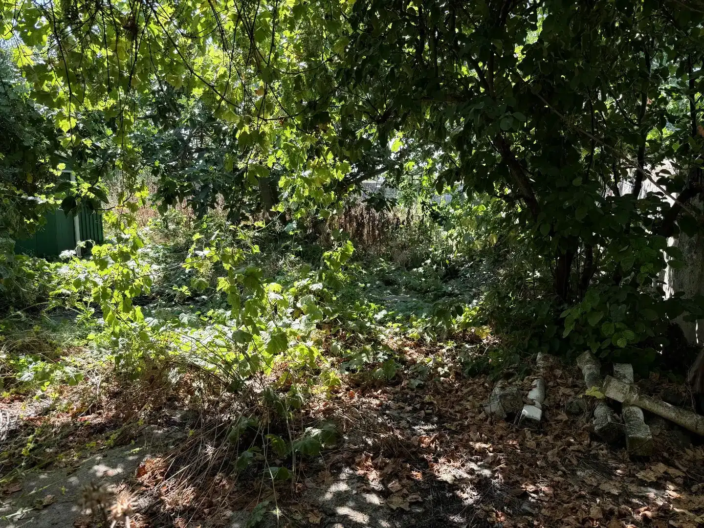 Finca rústica en venda en Calera y Chozas