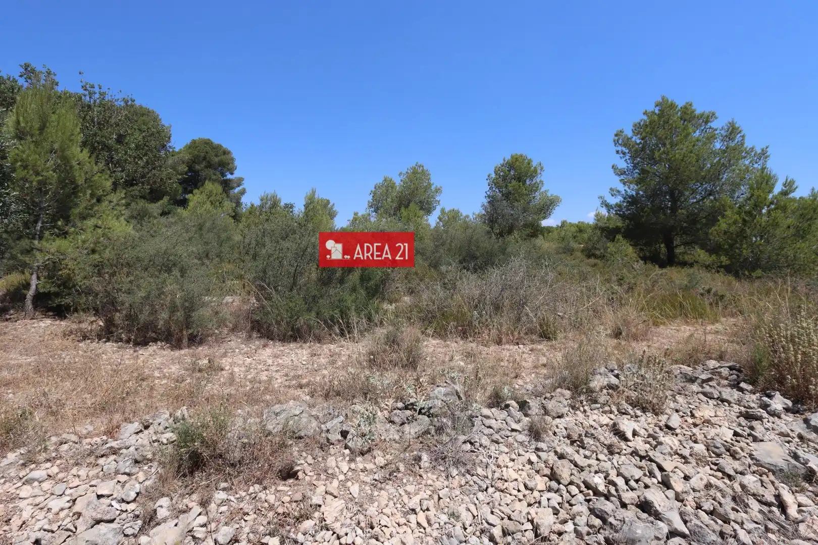 Terreno rústico en venta en Pla dels Aljubs, imagen 8