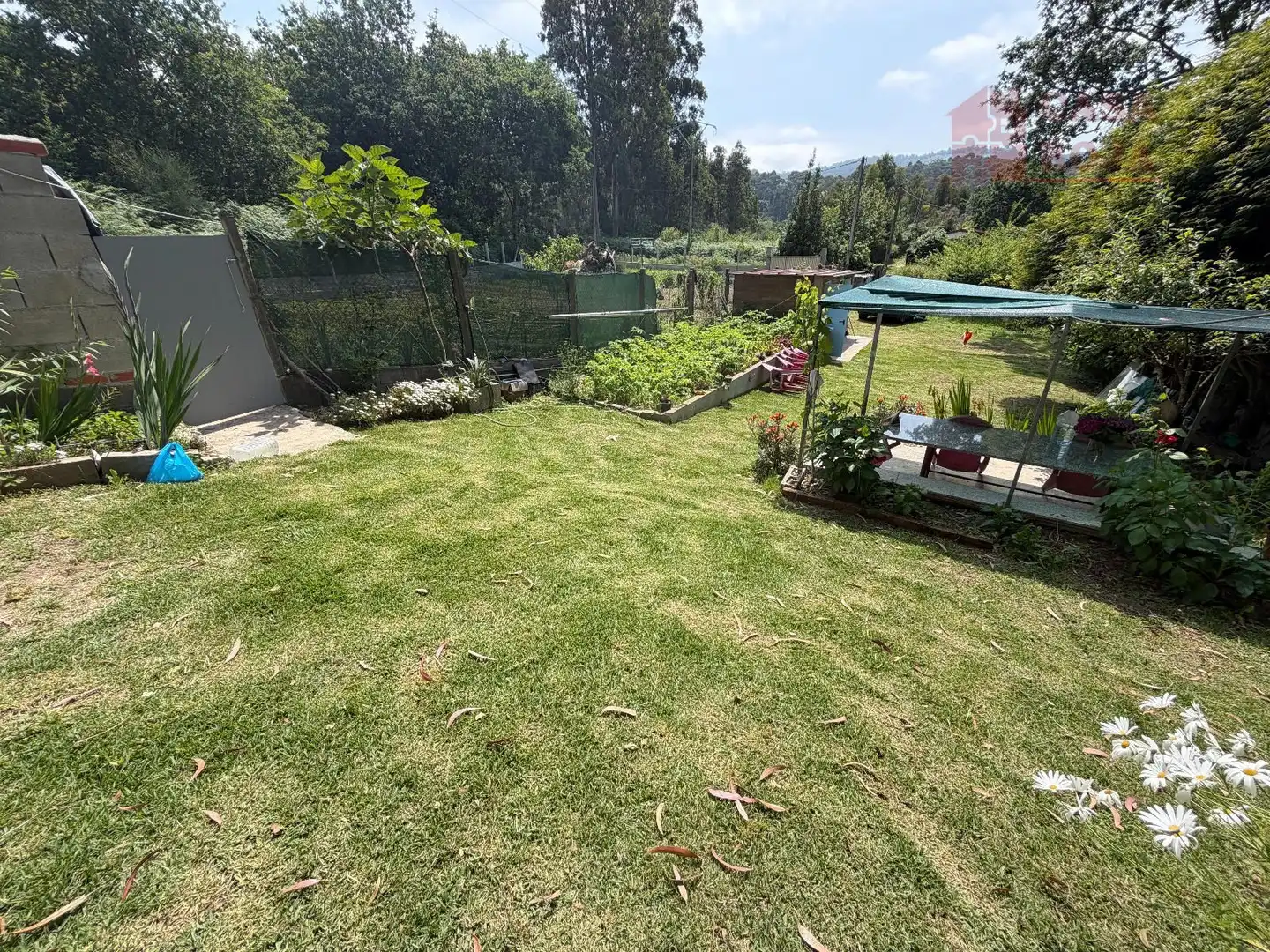 Terreno rustico in vendita a Bueu, imagen 22