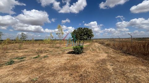 Foto 3 de Finca rústica en venta en Almonte ciudad, Almonte