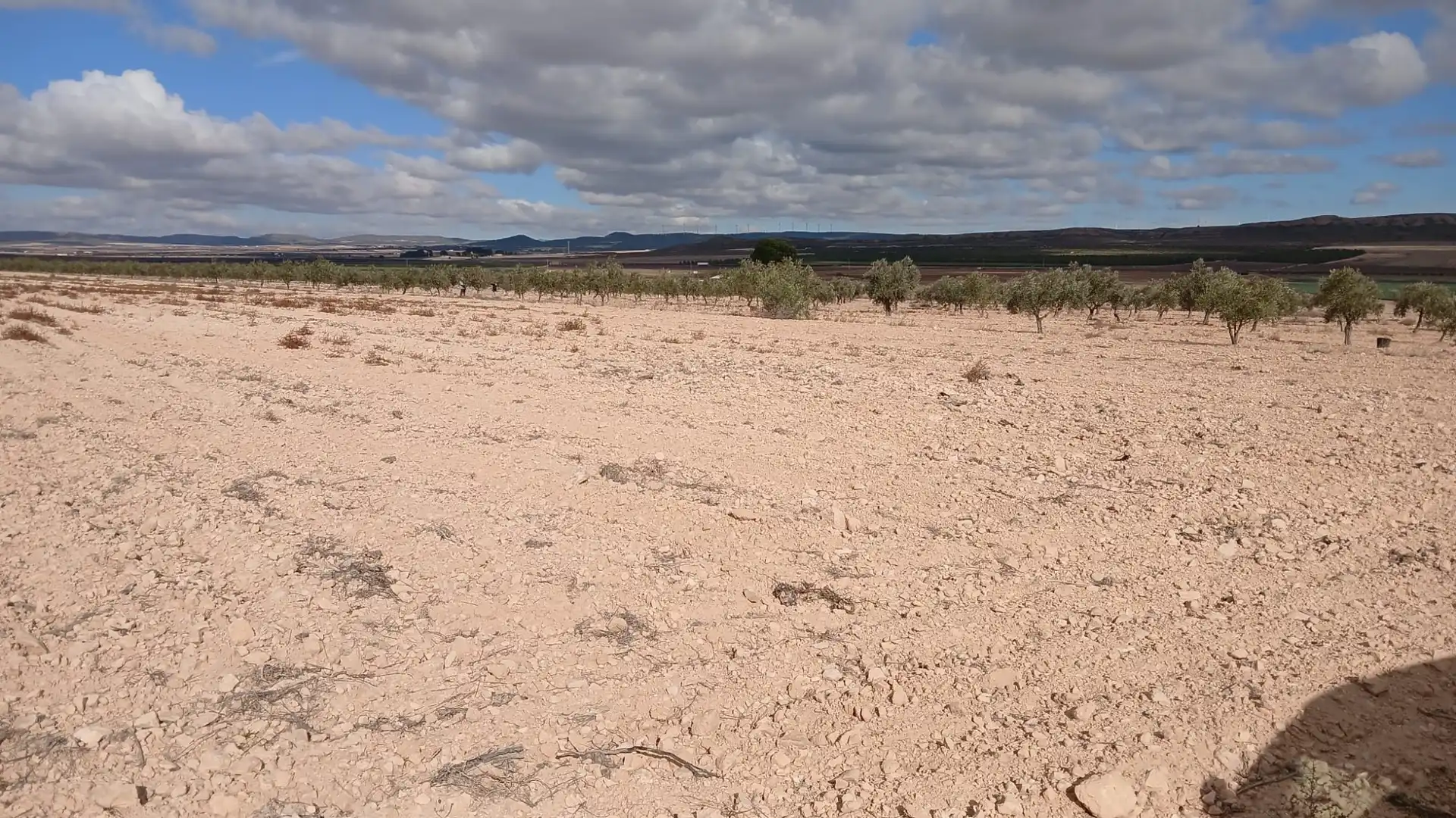 Residential land for sale in Yecla, imagen 3