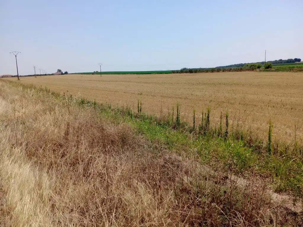 Terreno rustico in vendita a Mengabril, imagen 4