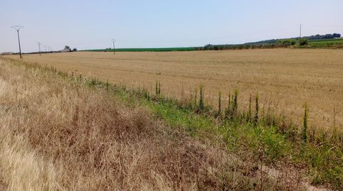FINCA RUSTICA CON FACHADA A LA CARRETERA, immagine 4