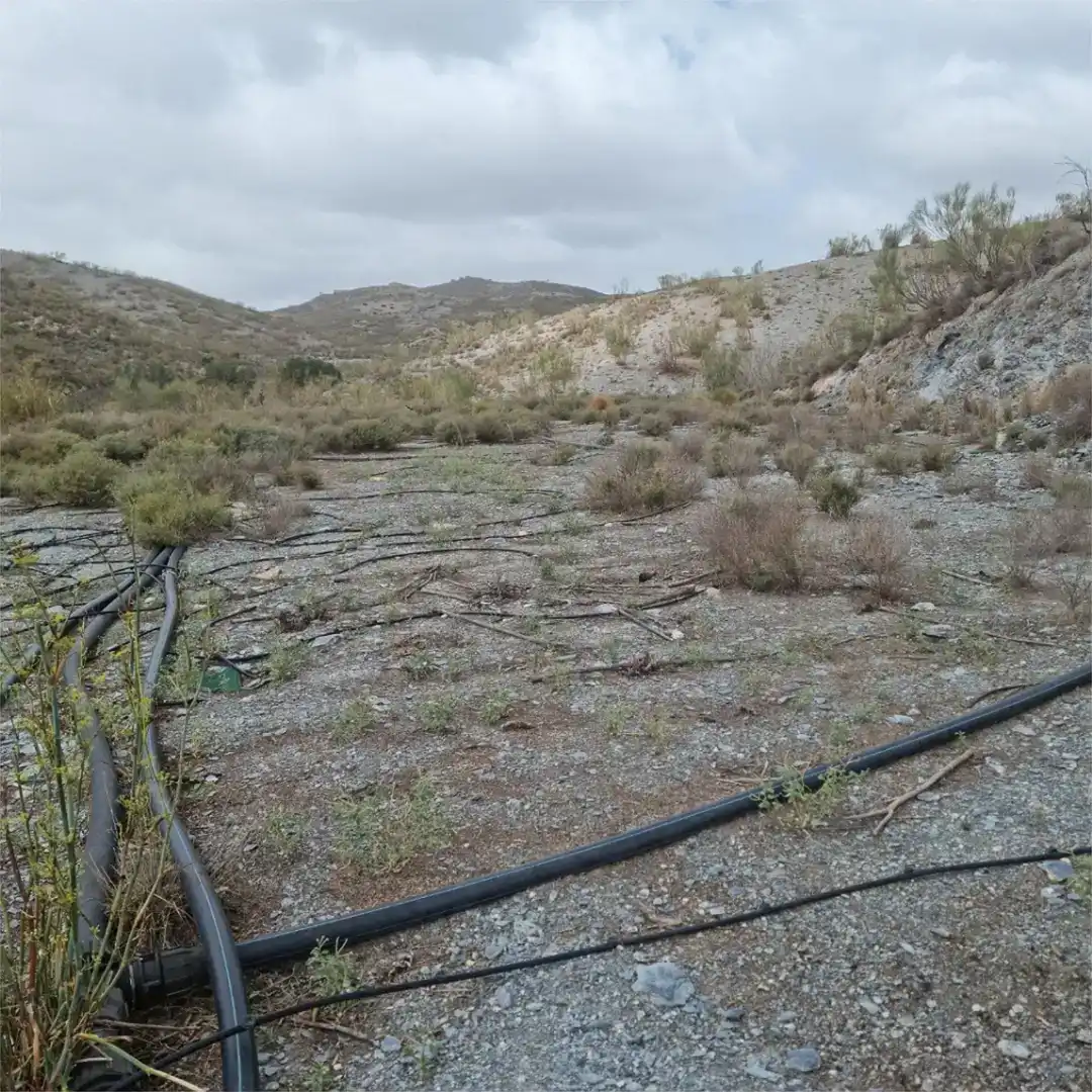Finca rústica en venda en Motril