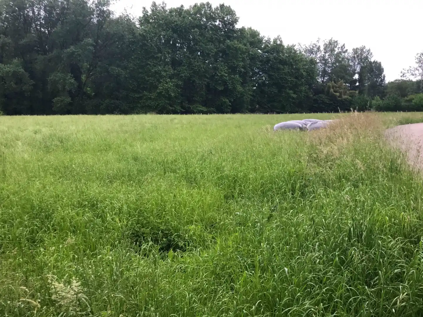 Terreni e lotti in vendita a Barcenilla - Manzanal, 506, imagen 5