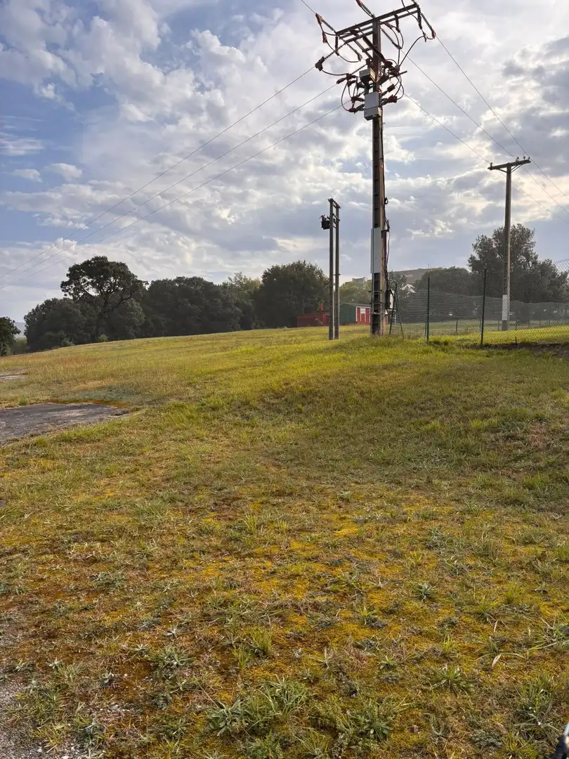 Rural land for sale in Erandio, imagen 3