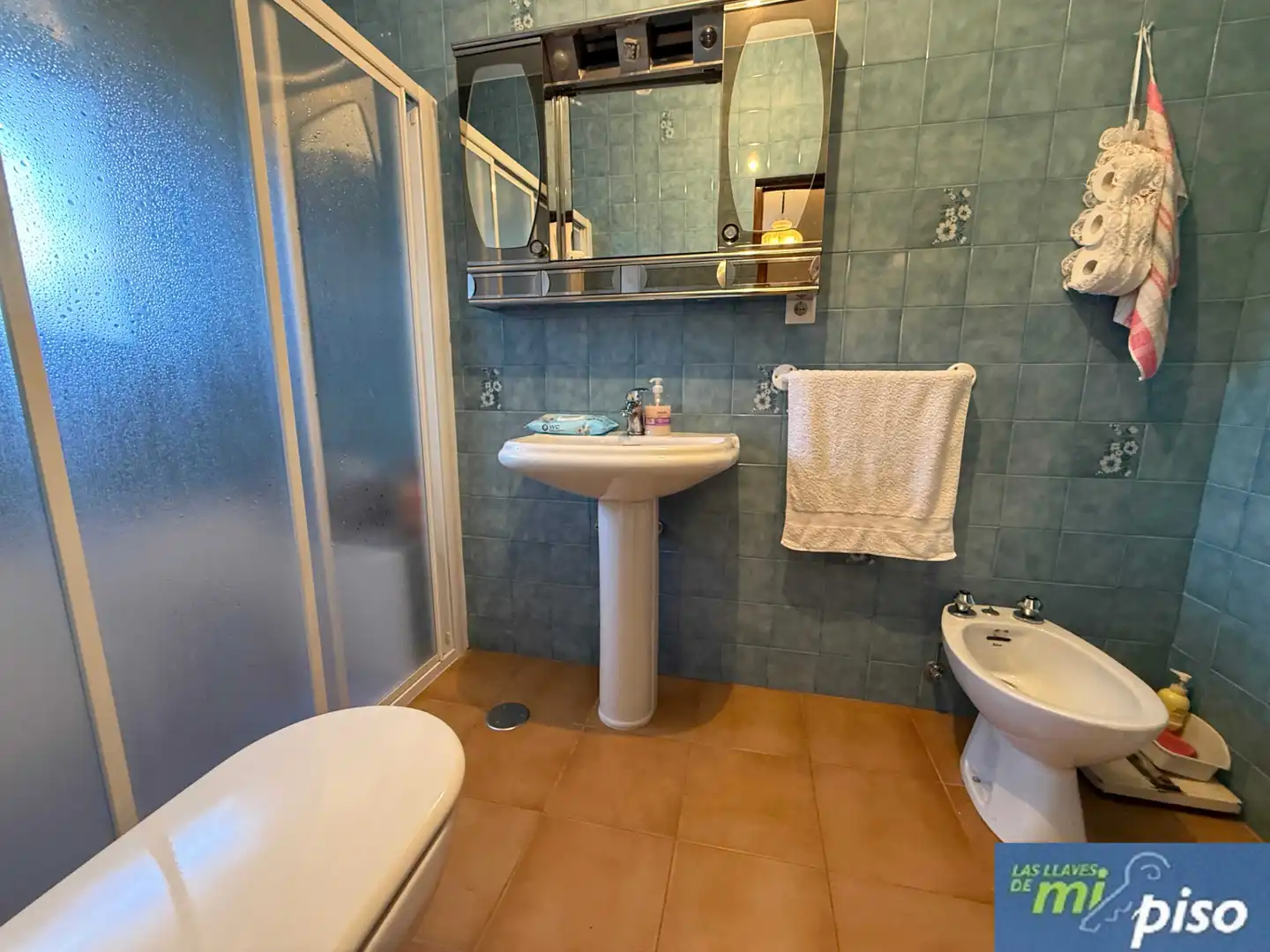 Baño de Casa o chalet en venta en Pollos con Calefacción, Jardín privado y Terraza