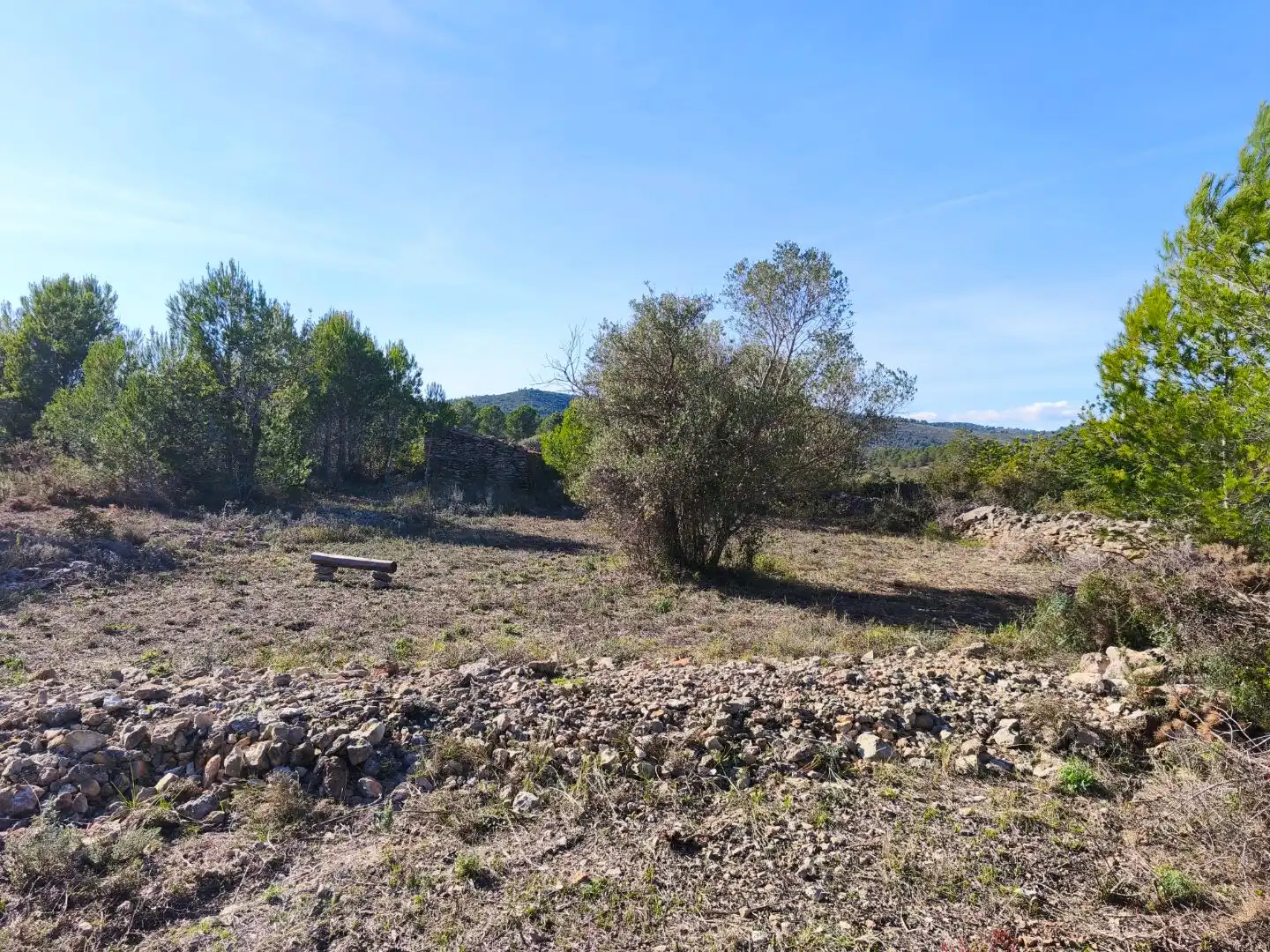 Rural land for sale in Carrer Fray Salvador 50, imagen 6