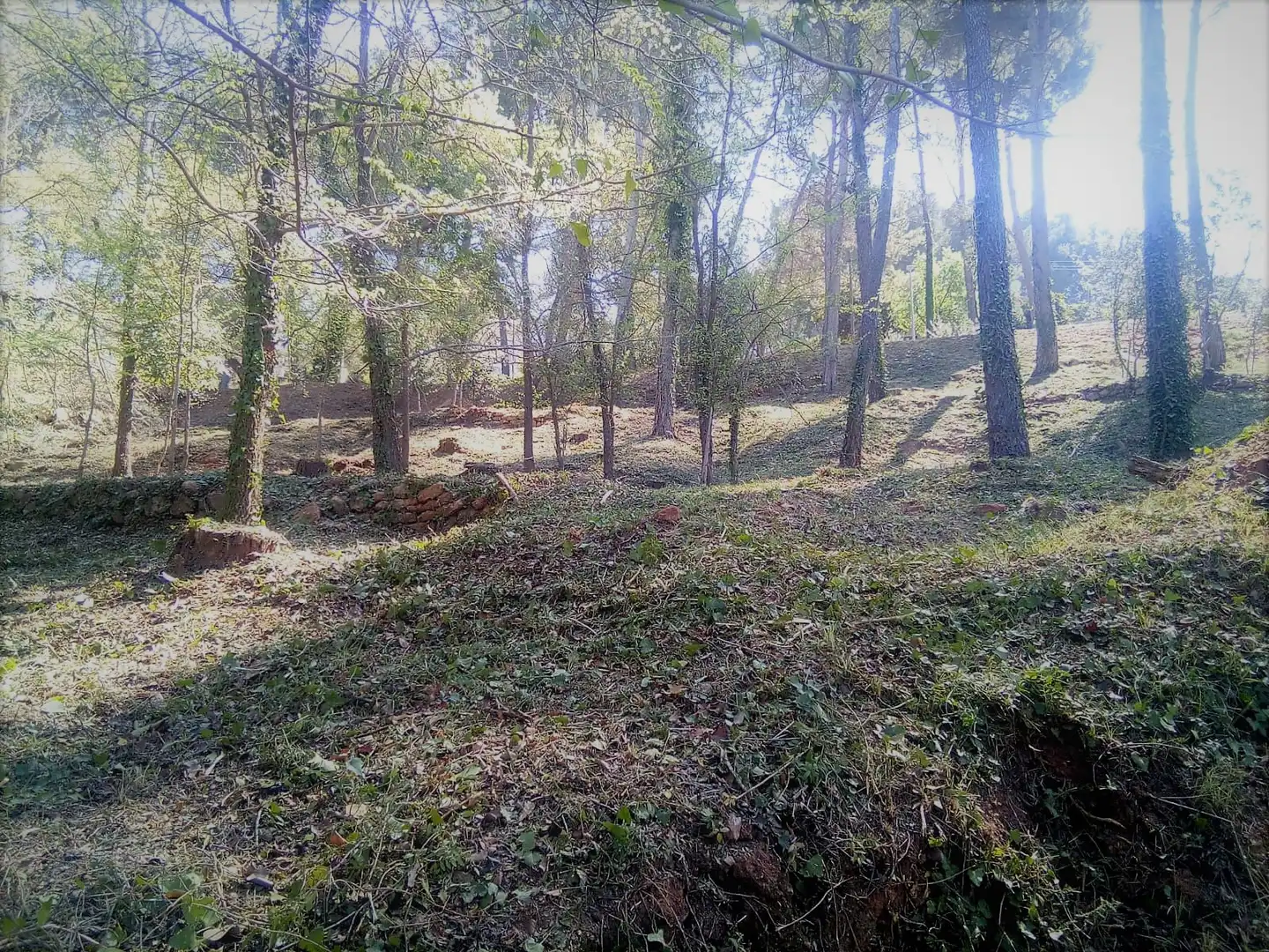 Terreni e lotti in vendita a Avinguda de les Cases Pairals, imagen 2