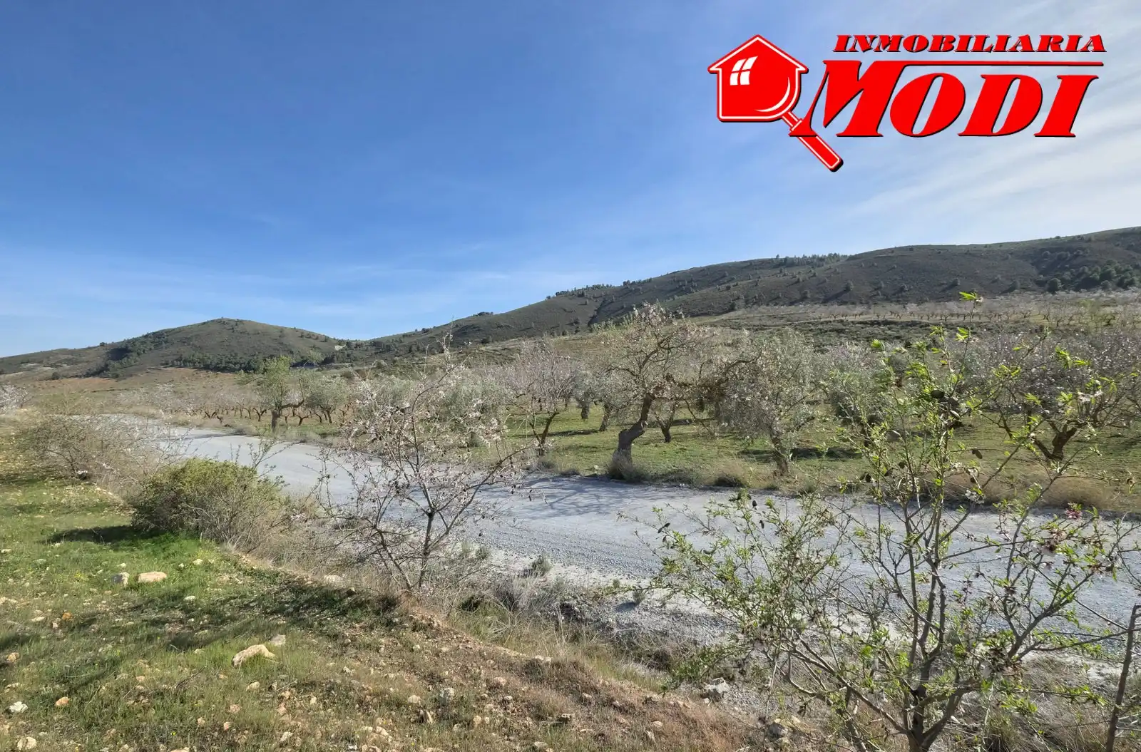 Terreni e lotti in vendita a El Valle, imagen 9