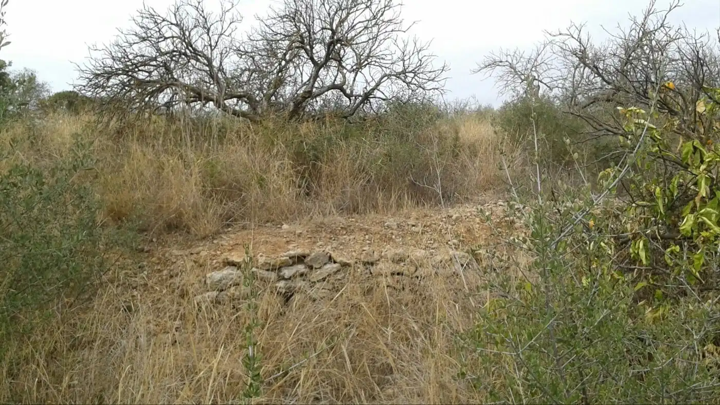 Terreny residencial en venda a Boverals - Saldonar, imagen 9