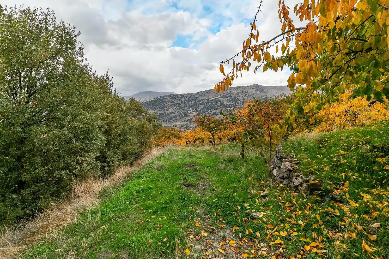 Lands and plots for sale in Güéjar Sierra, imagen 17