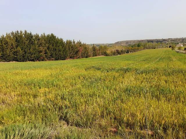 Terreno residencial en Venta en Área Rural