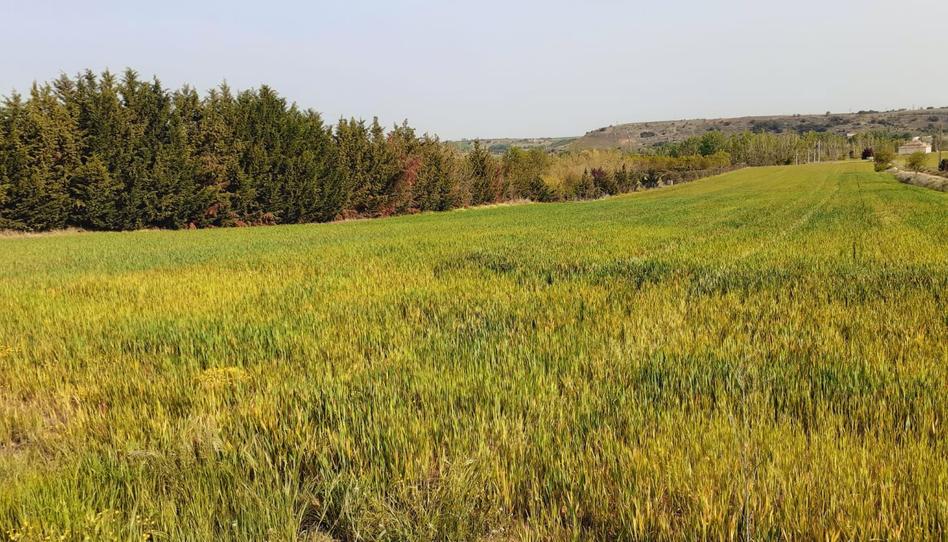 Foto 1 de Residencial en venda a Área Rural, Zamora