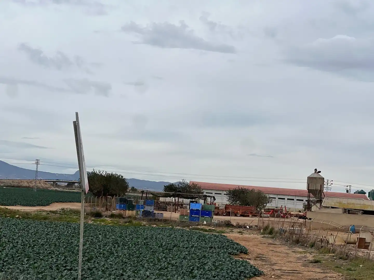 Terreny industrial en venda en Fuente Álamo de Murcia
