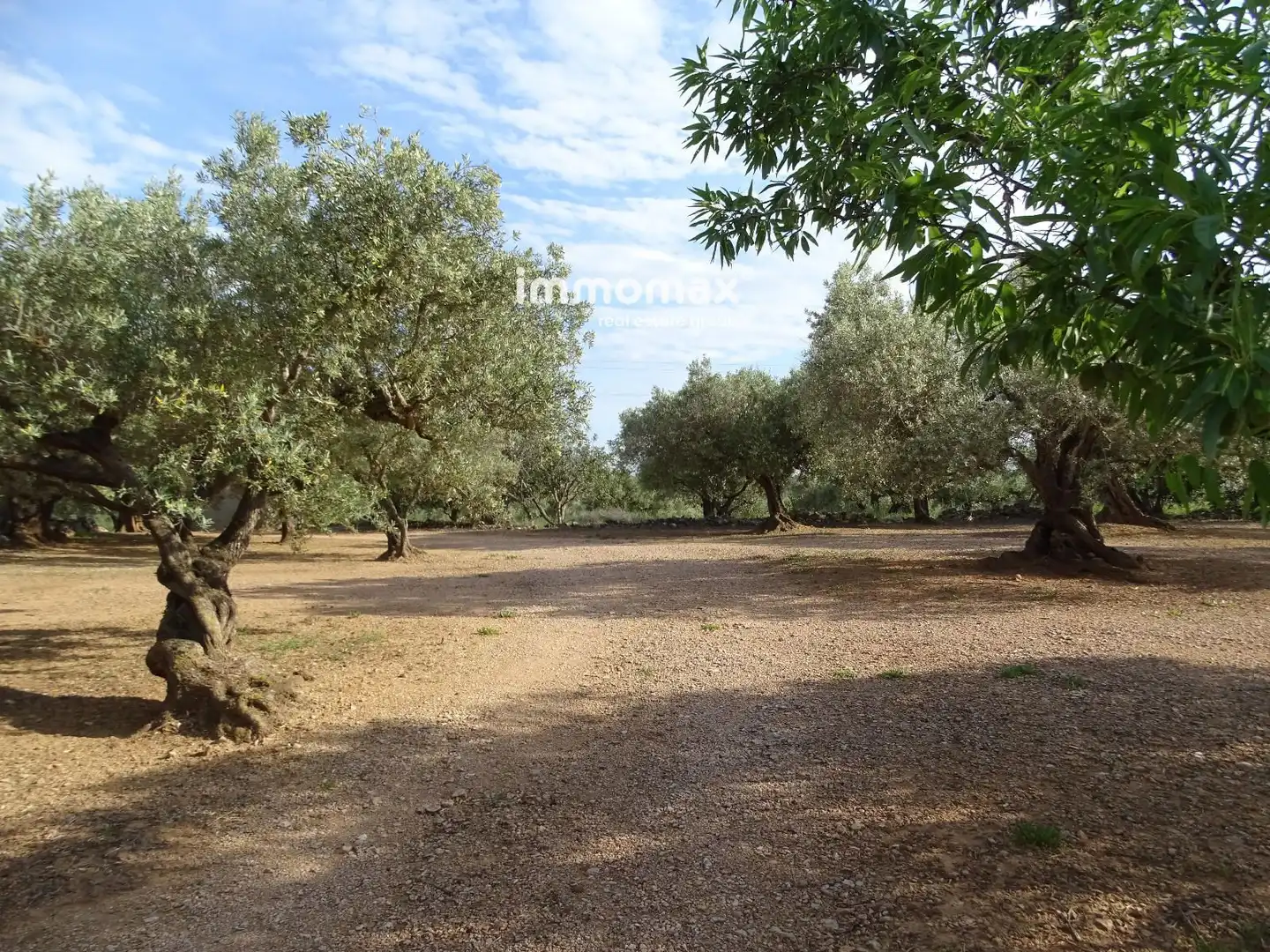 Terrain résidentiel à vendre à 14, imagen 4