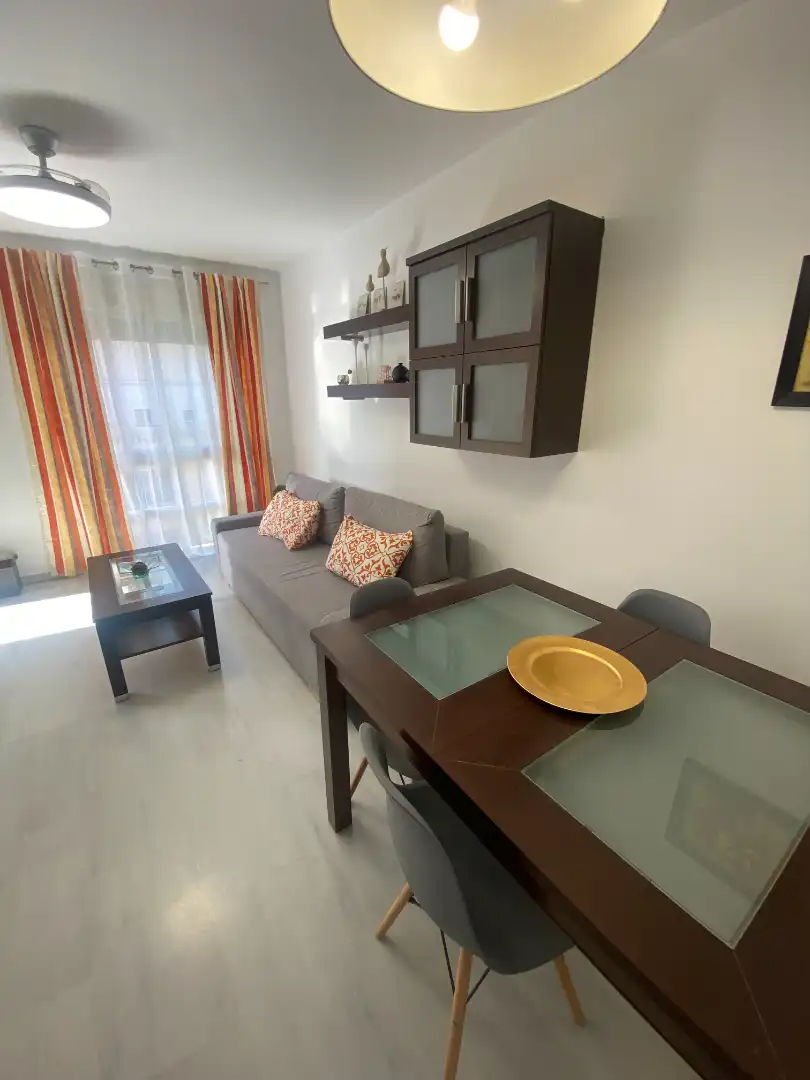 Living room of Apartments for rent in Málaga  with Air Conditioner, Terrace and Furnished