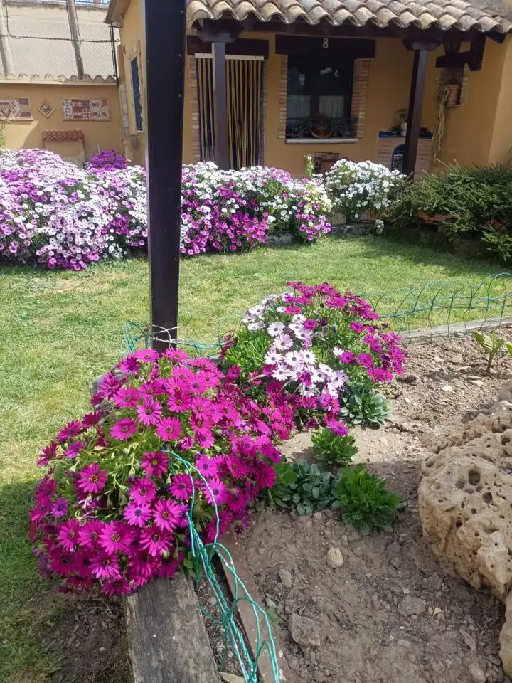 Jardín de Edificio en venta en Luceni