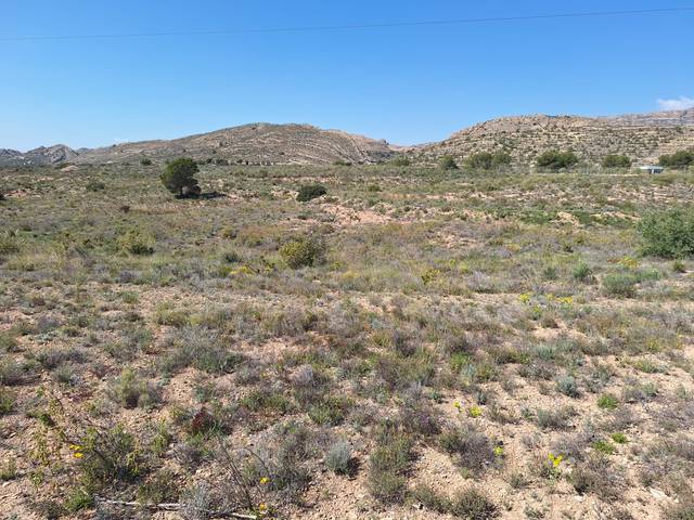 Terreno en Venta en Moralet