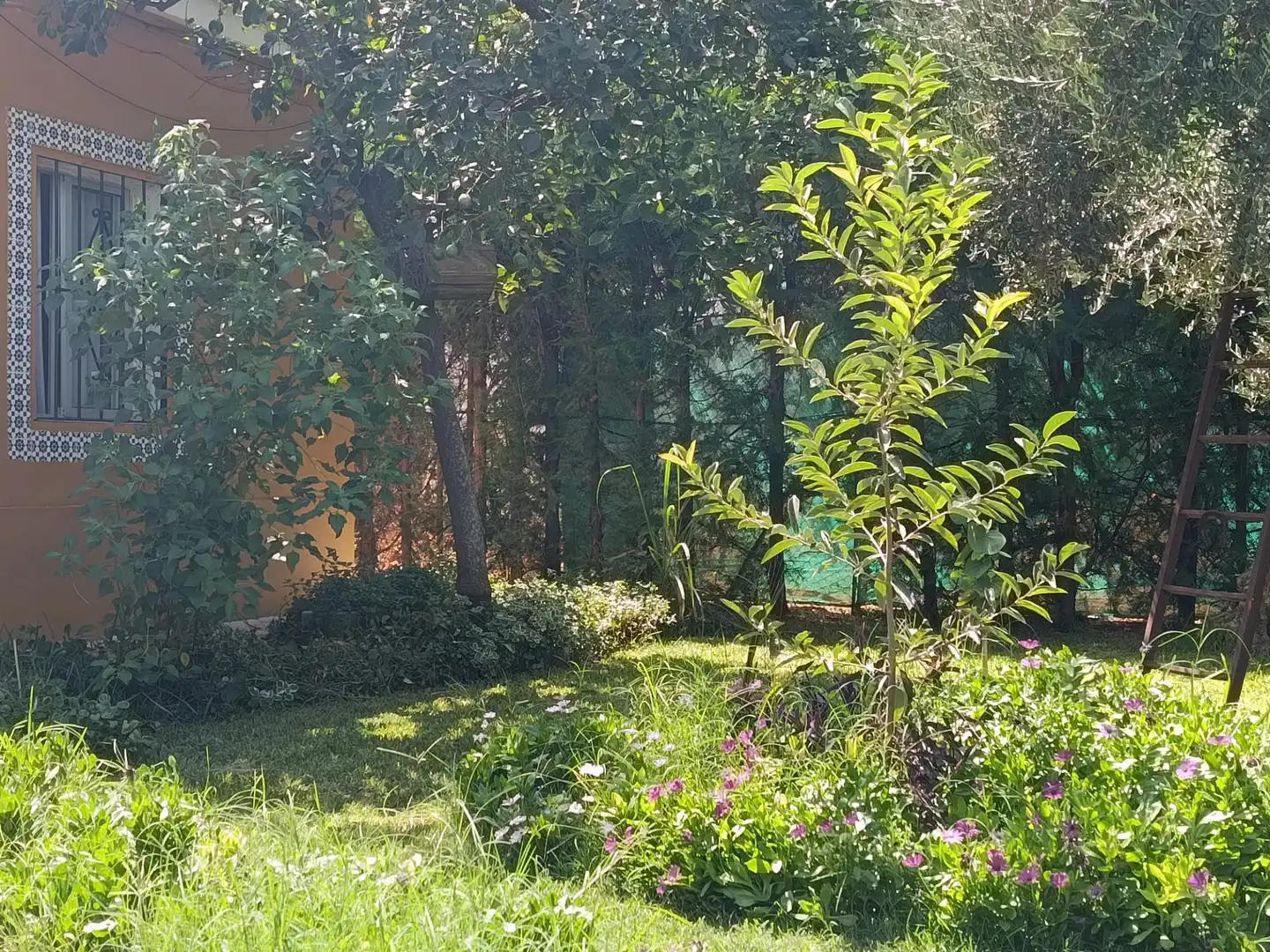 Villa avec piscine à louer à Urbanizacion el Campillo, imagen 60