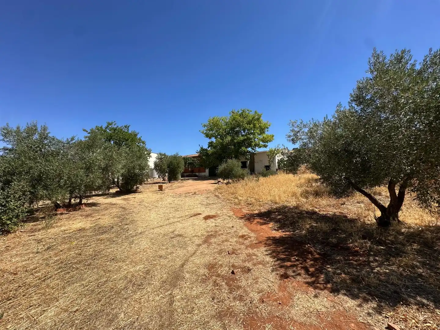 Rural land for sale in Carretera Valdepeñas-Ciudad Real, imagen 50