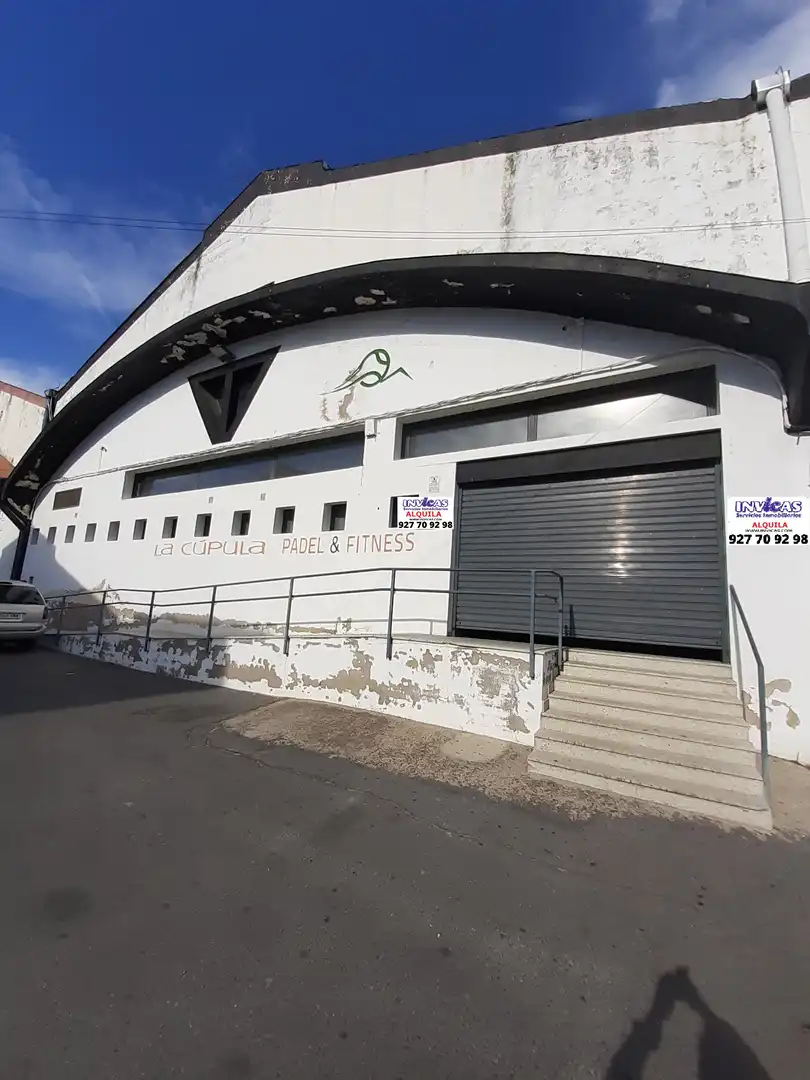 Nau industrial en venda a Avenida Martín Palomino