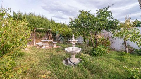 Foto 3 de Finca rústica en venta en Centro ciudad, Linares