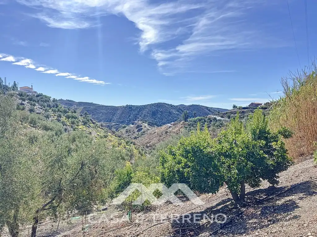 Houses for sale in Camino de Cuesta Bravo, Sedella