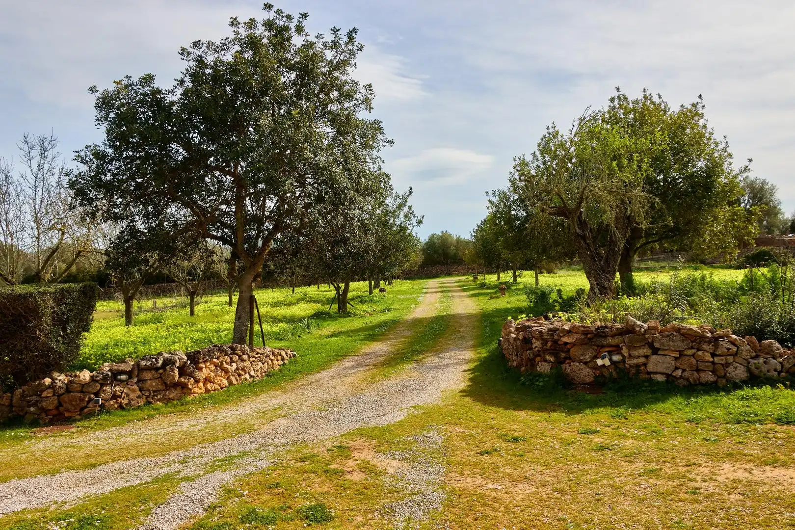 Casa rustica in vendita a Algaida, imagen 47