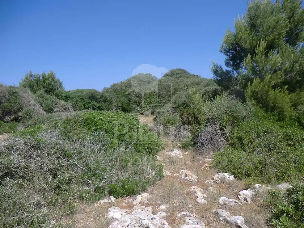 Terreno en venta en Ciutadella de Menorca