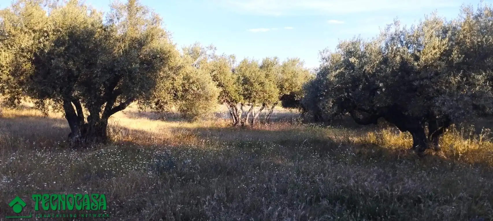 Terreni e lotti in vendita a Méntrida, imagen 12