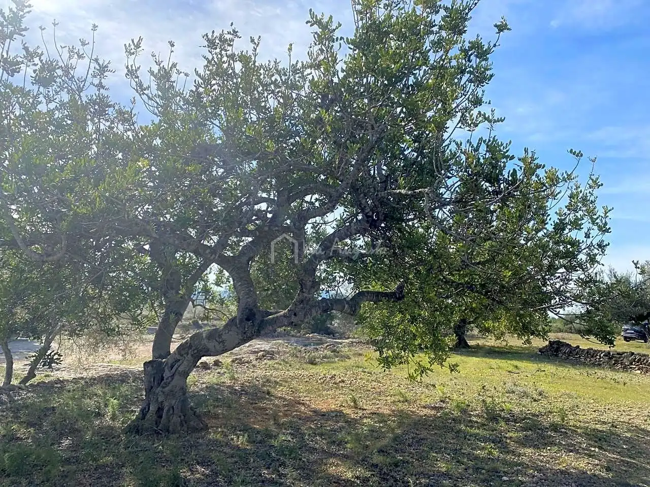 Terreno rustico in vendita a Planas, imagen 8