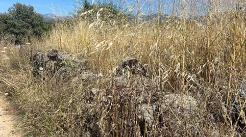 Foto 4 de Terreny en venda a Cenicientos, Madrid