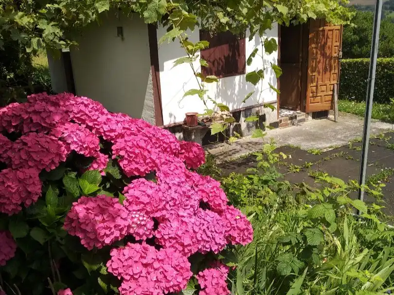 Jardín de Terreno en venta en Ortuella